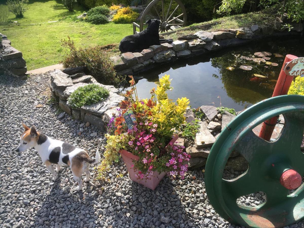 Stoke House Bed&Breakfast Stoke Rivers Eksteriør bilde